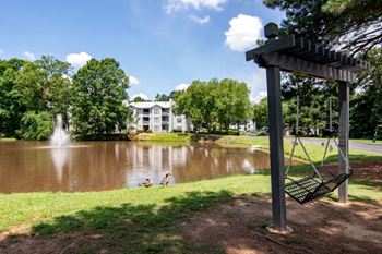Relaxing lakeside swing
